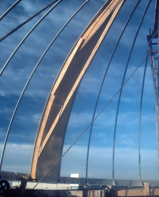 November 14, 1980 - First skin