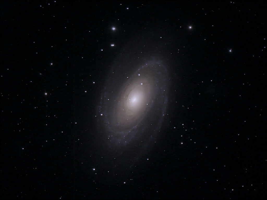 M81