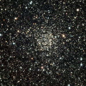 NGC-7789 Carolyns Rose by Jim Bakic 