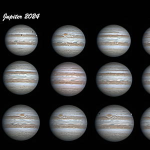 2024 Jupiter Collage by Lee Keith 